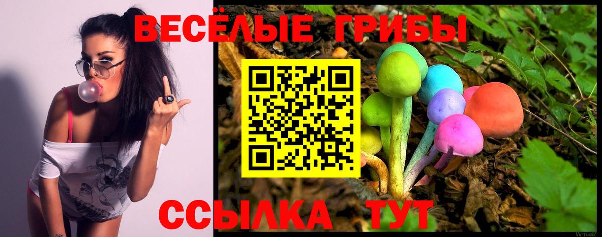 Галлюциногенные грибы мицелий Каспийск